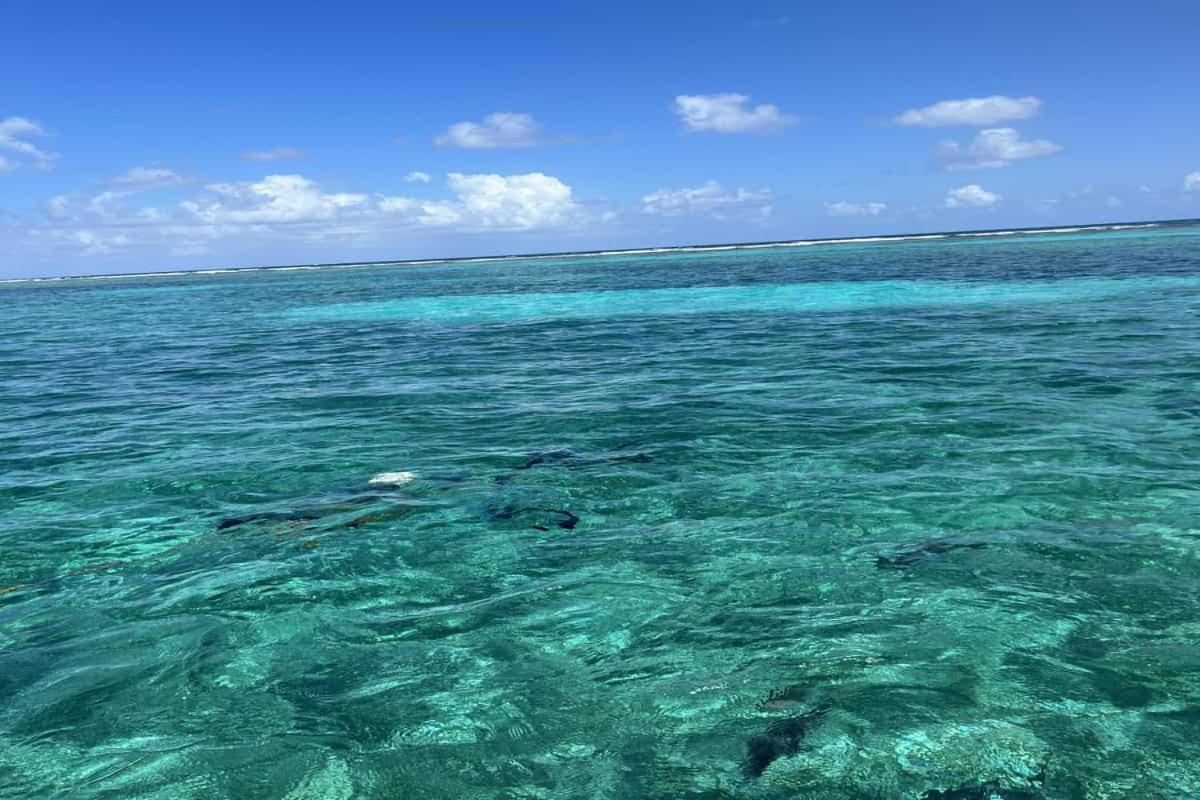 Residences At Barrier Reef 4C Oceanview 2 Bedroom By Stay Floreo San Pedro  Exterior foto